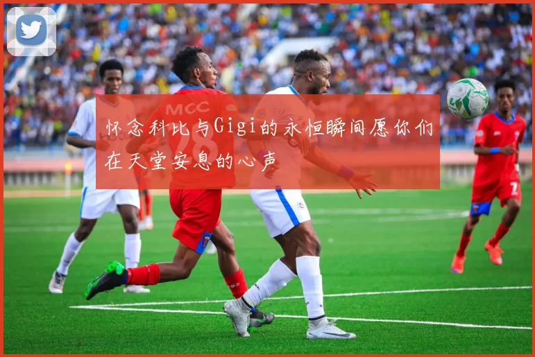 怀念科比与Gigi的永恒瞬间愿你们在天堂安息的心声